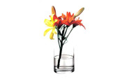 Ваза Pasabahce Flora 260х125 мм (43846)