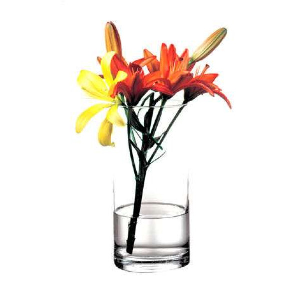Ваза Pasabahce Flora 260х125 мм (43846)