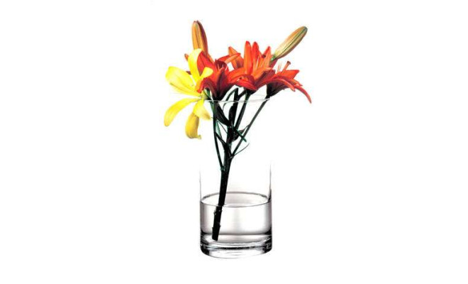 Ваза Pasabahce Flora 260х125 мм (43846)