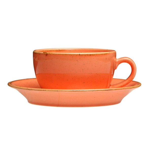 Porland Seasons Orange Чашка чайна 200 мл з блюдцем 160 мм в наборі