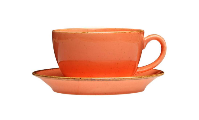 Porland Seasons Orange Чашка чайна 320 мл з блюдцем 160 мм в наборі