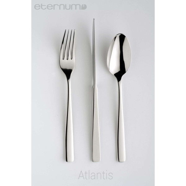 Виделка столова Eternum Atlantis 212 мм (3010-01)