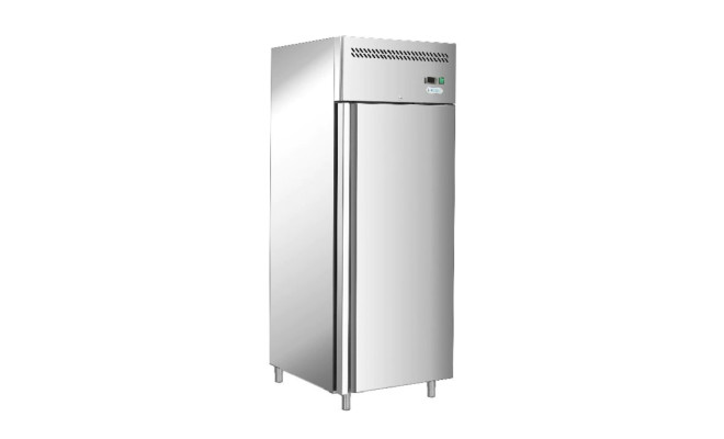Шкаф морозильный 650 л Forcold G-GN650BT-FC