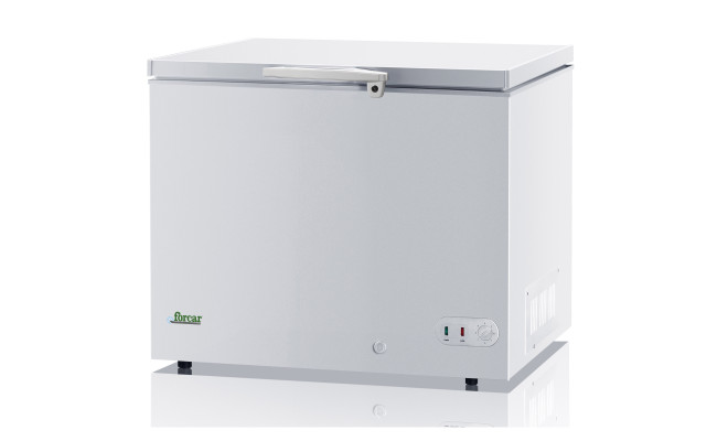Ларь морозильный 283 л Forcar G-BD350