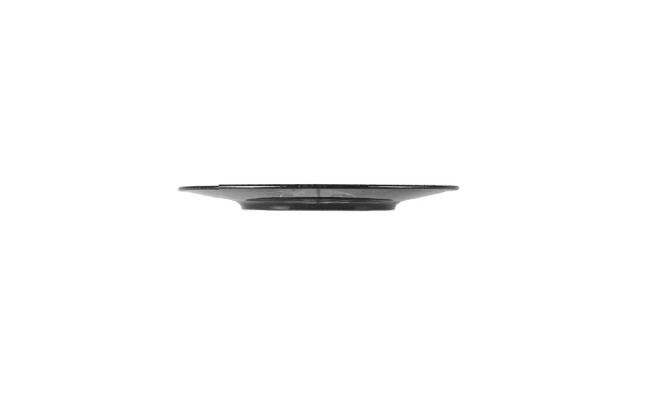 Porland Black Moss Alumilite Тарелка круглая 270 мм (04ALM004808)
