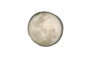 Porland Stoneware Selene Тарілка кругла 300 мм