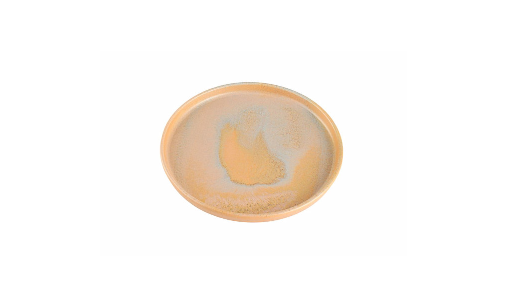 Porland Stoneware Savanna Тарілка пласка з бортом 270 мм
