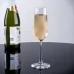 Келих для шампанського Stoelzle Revolution 200 мл в интернет магазине профессиональной посуды и оборудования Accord Group