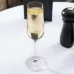 Бокал для шампанского Stoelzle Revolution 200 мл в интернет магазине профессиональной посуды и оборудования Accord Group