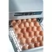 Стерилізатор для ножів або яєць Stalgast 690552 в интернет магазине профессиональной посуды и оборудования Accord Group