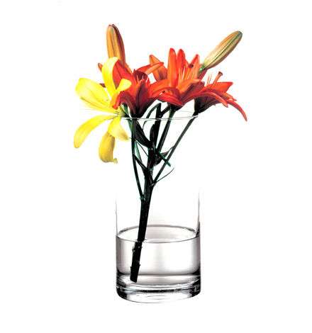 Ваза Pasabahce Flora 260х125 мм (43846)