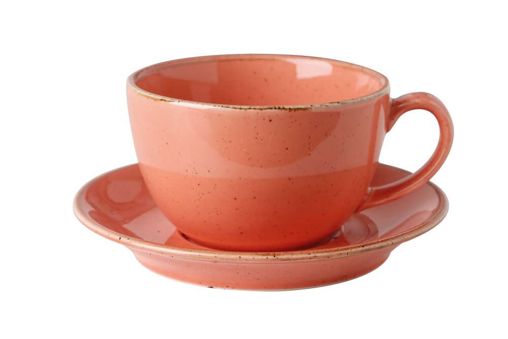 Porland Seasons Orange Чашка чайная 320 мл с блюдцем 160 мм в наборе