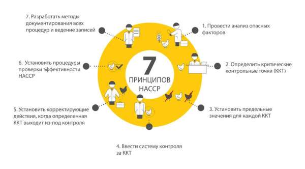 7 главных принципов ХАССП