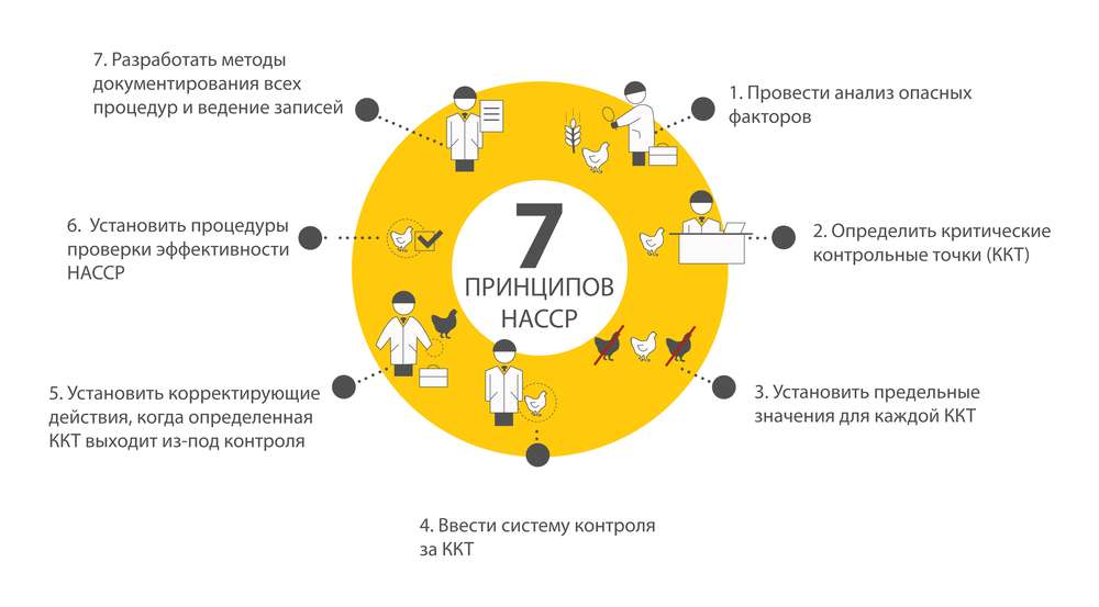 7 главных принципов ХАССП